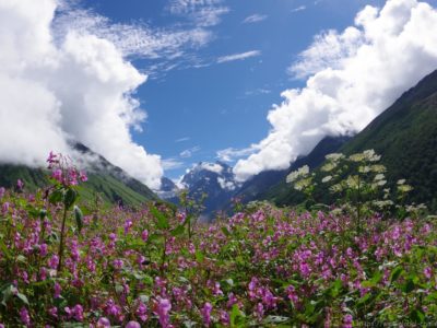 花の谷国立公園4日目0