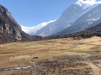 カンチェンジェンガトレッキング まとめ 15